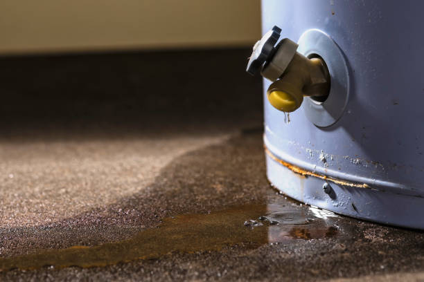 Best Water damage restoration near me  in Bohemia, NY