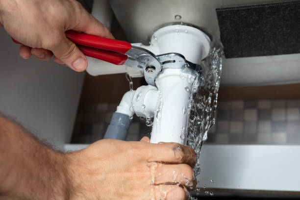 Best Basement water damage restoration  in Bohemia, NY