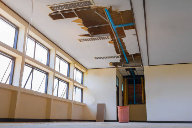 Best Sewage cleanup and water damage restoration  in Bohemia, NY