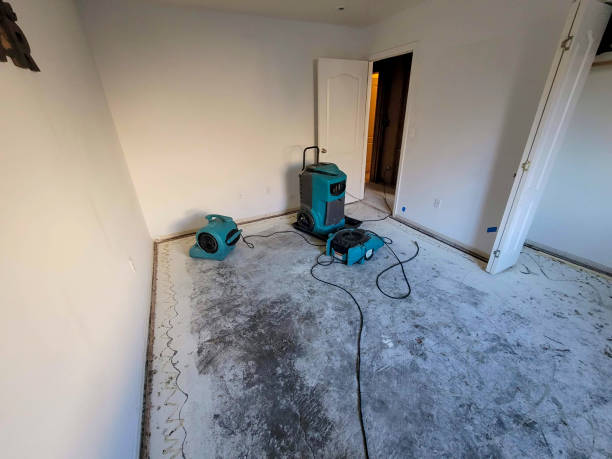Best Water damage restoration insurance claims  in Bohemia, NY