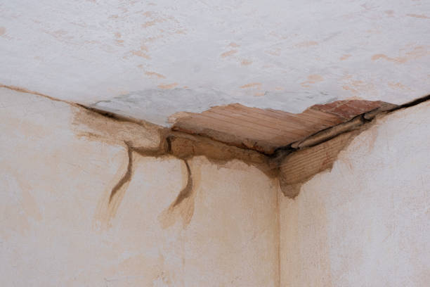 Best 24-hour water damage restoration  in Bohemia, NY