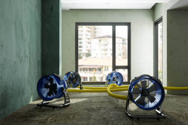 Best Water damage restoration company  in Bohemia, NY