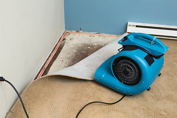 Best Flood restoration services  in Bohemia, NY